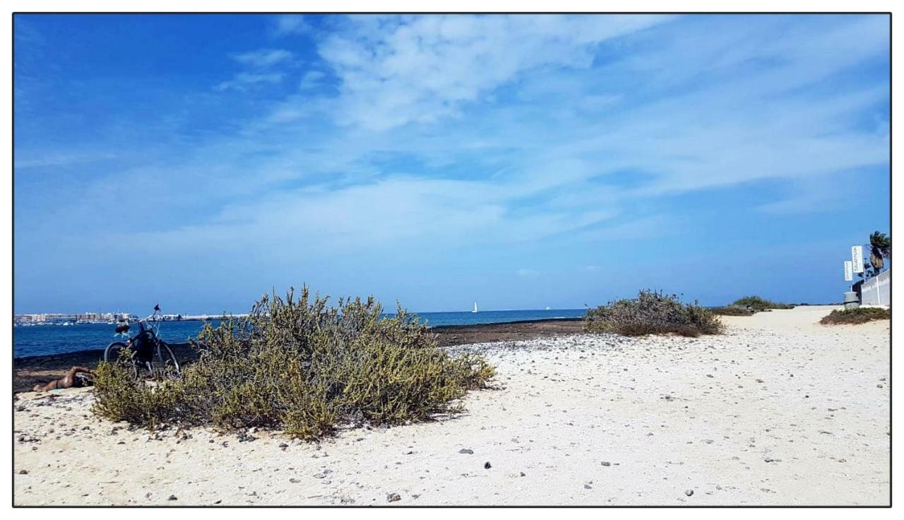 Lur De La Playa Apartamento Corralejo Exterior foto